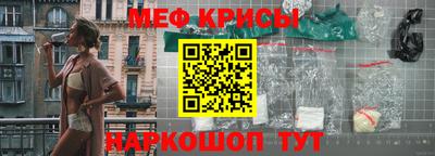 крисы Камышлов