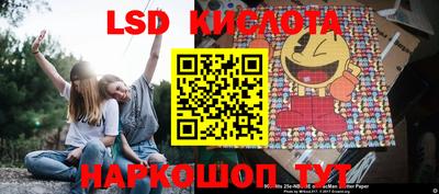 крисы Камышлов
