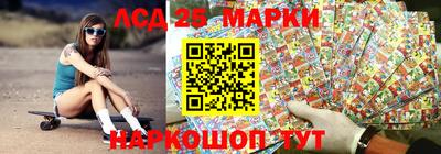 крисы Камышлов