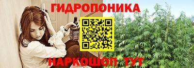 крисы Камышлов