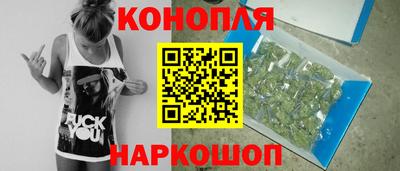 шишки Канаш
