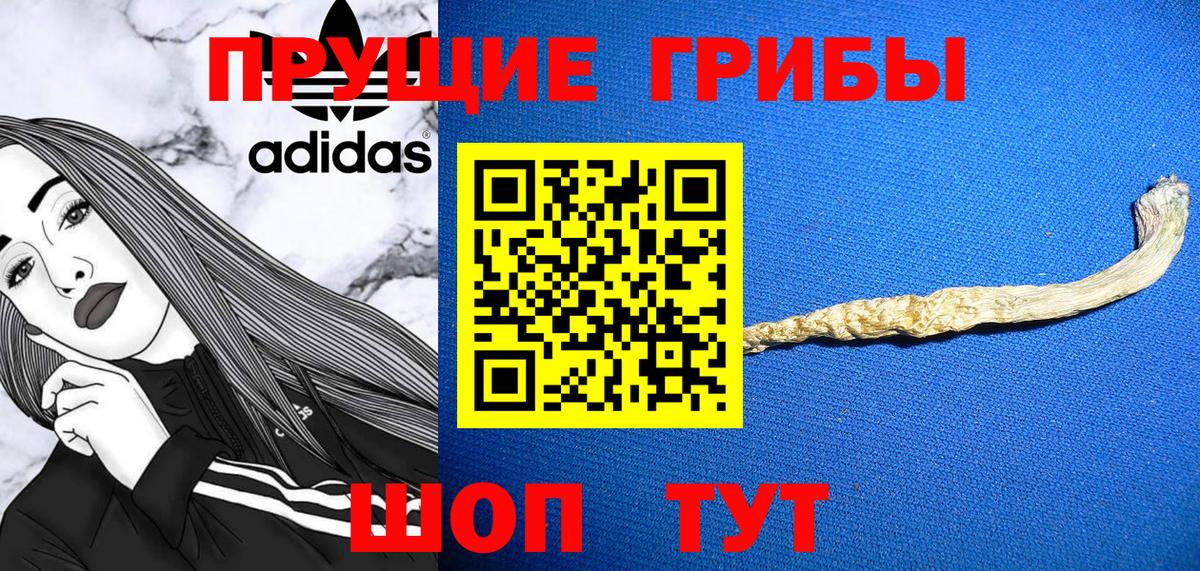 Дальнегорск  Псилоцибиновые грибы ЛСД  Вход с VPN  Псилоцибиновые грибы Magic Shrooms 